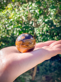 Thumbnail for Polished Tiger Eye Sphere