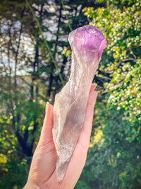 Thumbnail for Peaceful Amethyst Scepter