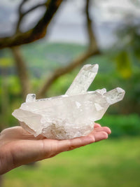 Thumbnail for Clear Quartz Cluster