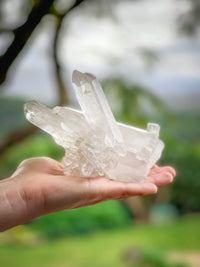 Thumbnail for Clear Quartz Cluster
