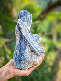 Thumbnail for Raw Kyanite in Matrix