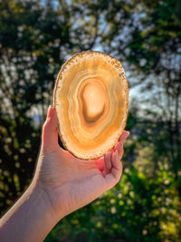 Thumbnail for Natural Agate Slice