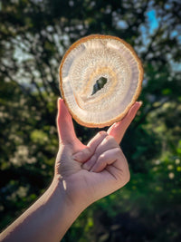 Thumbnail for Round Agate Slice