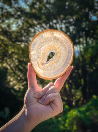 Thumbnail for Round Agate Slice
