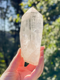 Thumbnail for Light-Filled Clear Quartz Point